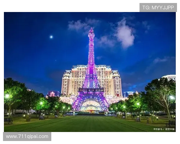 探索巴黎人平台网址的独特魅力与使用指南